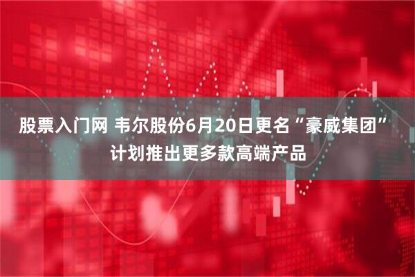 股票入门网 韦尔股份6月20日更名“豪威集团” 计划推出更多款高端产品